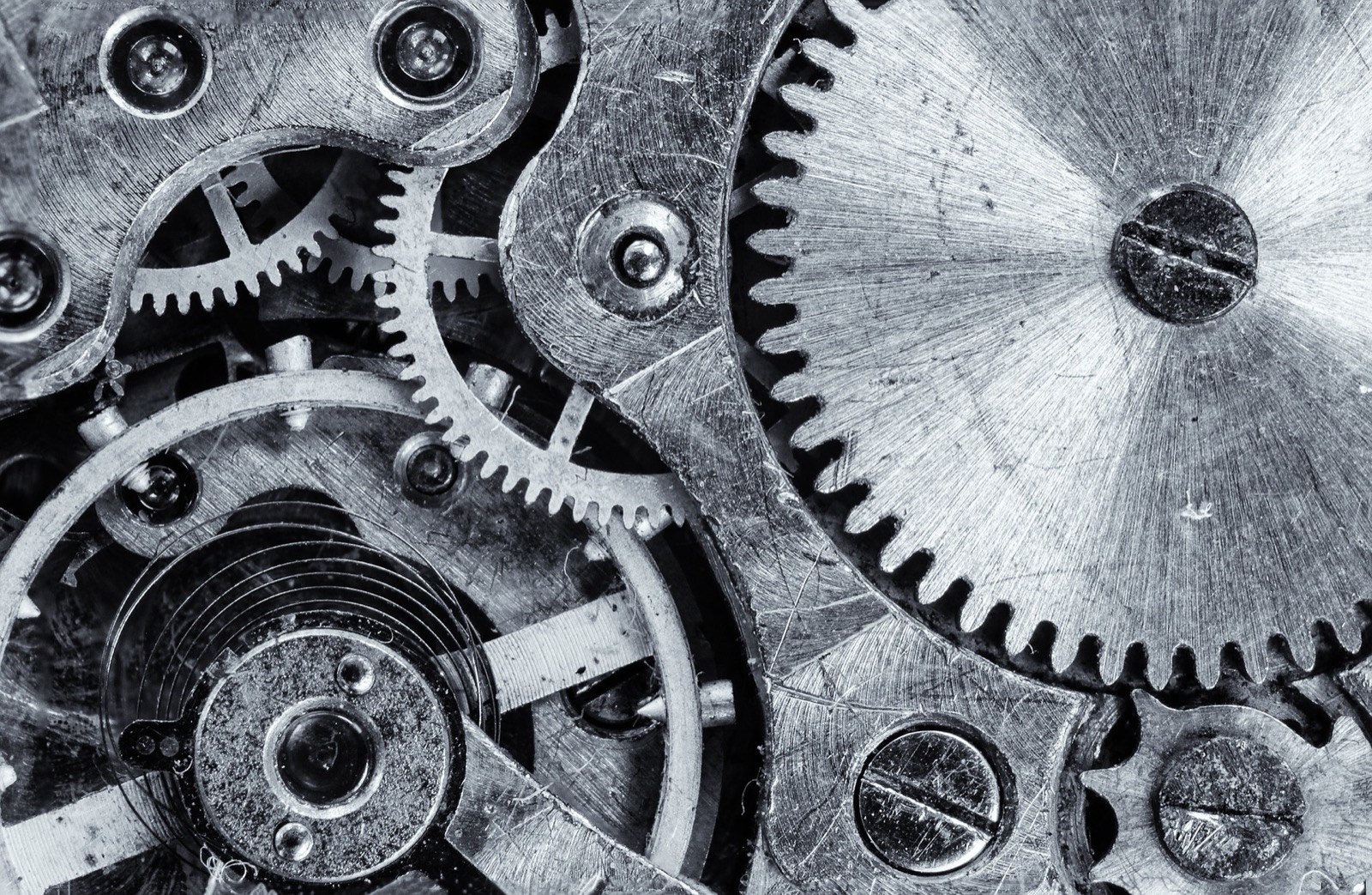 Qwant : le moteur de recherche qui vous veut du bien